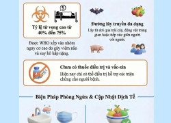 Cảnh báo và biện pháp phòng ngừa virus Nipah