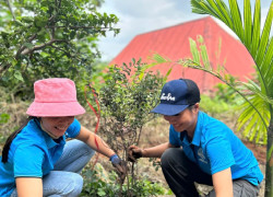 Ảnh: hội viên phụ nữ ra quân trồng cây xanh